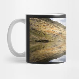 Codale Reflections Mug